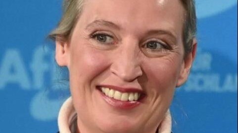 How proficient in Chinese are German lawmakers?