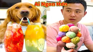 Thú Cưng TV | Đa Đa Thánh Chế #42 | Chó Golden Gâu Đần thông minh vui nhộn | Pets cute smart dog