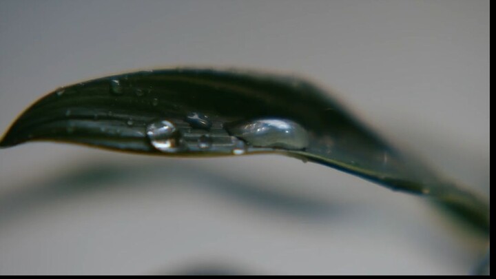 {BL} EP2 Love Begins in the World of If (2025) EngSub