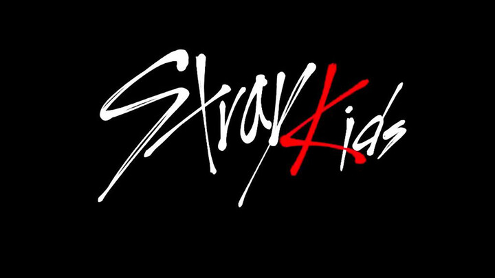 【Music】【Stray Kids' one year anniversary debut】Cover of MIROH