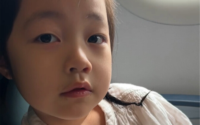 About My Daughter Wanting to Be a Flight Attendant