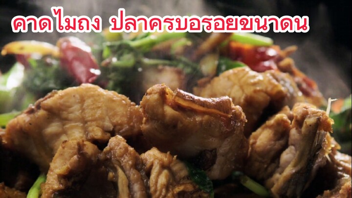 คาดไม่ถึง ปลาครีบอร่อยขนาดนี้