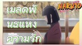 เมล็ดพันธุ์แห่งความรัก