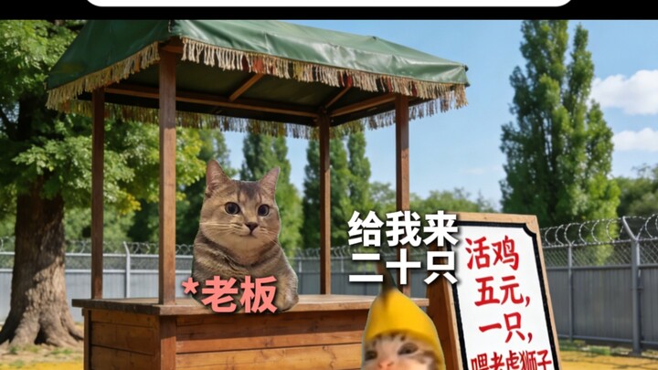 Sở thú bán gà với giá 5 tệ một con