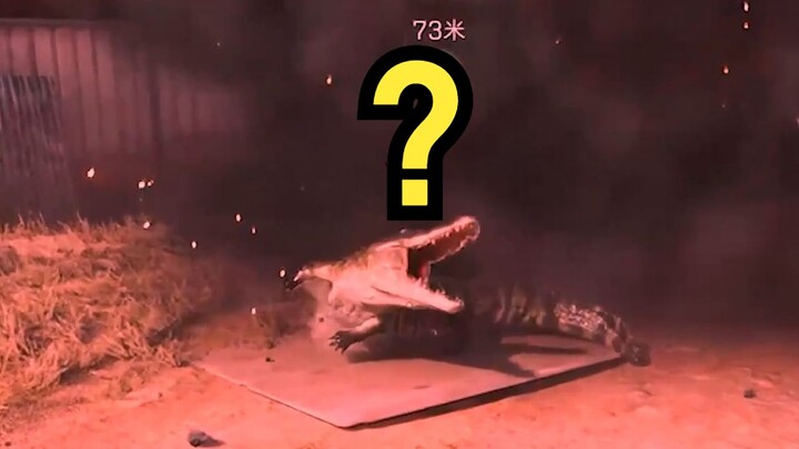 My girlfriend said she's going to teach you guys how to tear an alligator apart with your bare hands