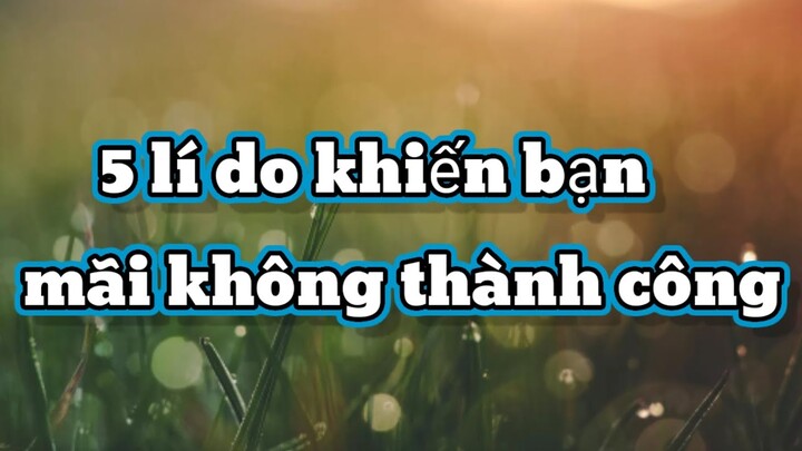 5 Lí Do Khiến Bạn Mãi Không Thành Công
