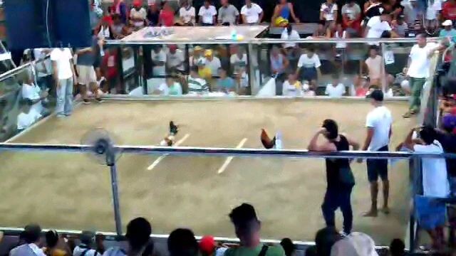 DOUBLE BB champion  po naka chamba