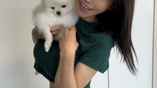 ENVY WITH THE DOG😭😭