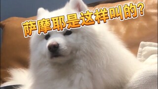 لولا أن الـup نفسه قام بالتصوير، لما صدقت ذلك مهما حدث!