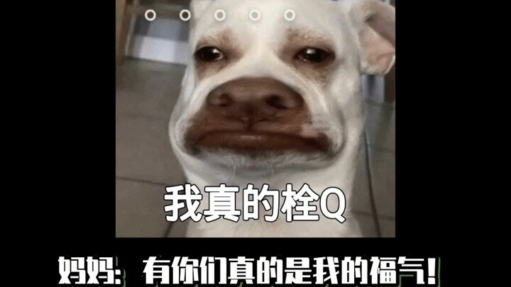 Mom: You’d better not let me get my hands on you.