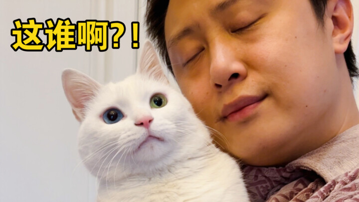 سافر رب الأسرة إلى إفريقيا لمدة 3 أشهر، وعند عودته فزع القط في المنزل!