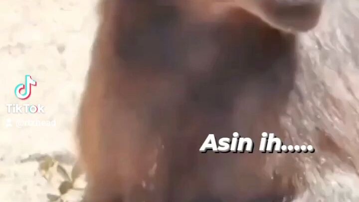 😹😹😹😹😹😹