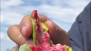 ของนี้กินได้ไหม อร่อยไหม?