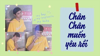 [Vietsub] Chân Chân muốn yêu rồi (Phần 19) | Ổ nhỏ của Hoài