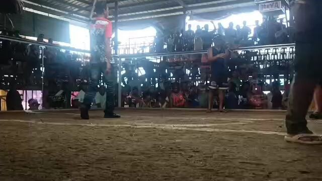 Ulutan 009