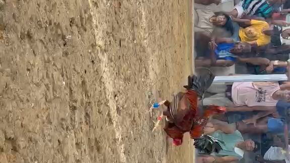 April 05 2026 hack fight batobalani San roque 2nd fight