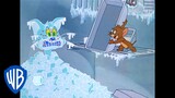 Tom y Jerry en Latino | ¿Está Jerry Cuidando a Tom? | WB Kids