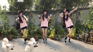 “因为遇见你们而走出孤岛的故事”|走在世界的正中央