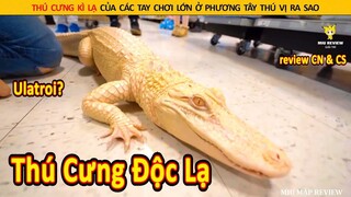 Thú Cưng Kì Lạ Của Các Tay Chơi Lớn Ở Phương Tây Thú Vị Như Thế Nào || Review Con Người Và Cuộc Sống