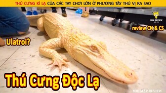 Thú Cưng Kì Lạ Của Các Tay Chơi Lớn Ở Phương Tây Thú Vị Như Thế Nào || Review Con Người Và Cuộc Sống