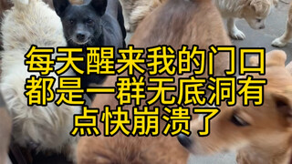 Every day when I wake up, there's a group of bottomless pits waiting at my doorstep—I'm about to sna