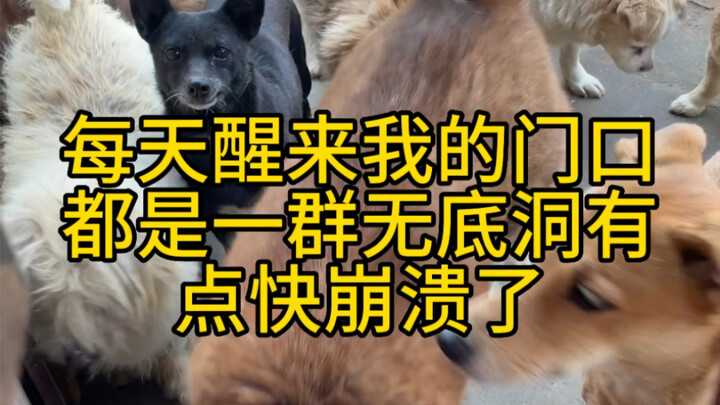 Every day when I wake up, there's a group of bottomless pits waiting at my doorstep—I'm about to sna