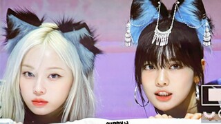 جودي ونيك! 【aespa】 مجموعة لقطات طعام من حفل التوقيع والزي المميز الرائع في 7 يونيو!