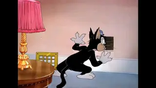 tom& Jerry