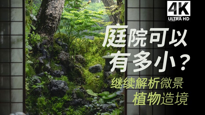 Membuat miniatur taman kecil di bawah jendela yang mengembang, lanjutkan dengan menganalisis metode 