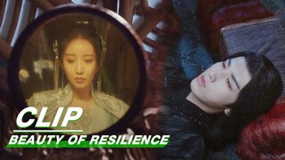 Real Wei Zhi Feels Guilty & Wants to Let Go of Her Love | Beauty of Resilience EP31 | 花戎 | iQIYI