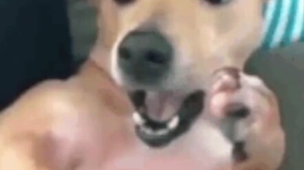 Gergaji yang Ramah Pengguna