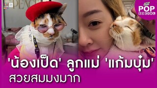 ลุคใหม่ “น้องเป็ด” น่ารัก สดใส สมมง แมวของ “แก้มบุ๋ม" | Apop Today Online