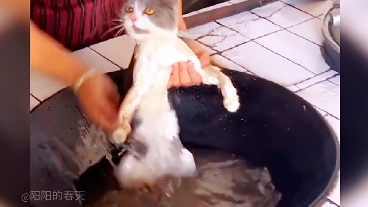 ใครบ้างล่ะที่ไม่ได้โตมากับคุณตาคุณยาย