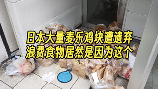 魔怔！一个麦乐鸡块爱好者轻轻地碎了….