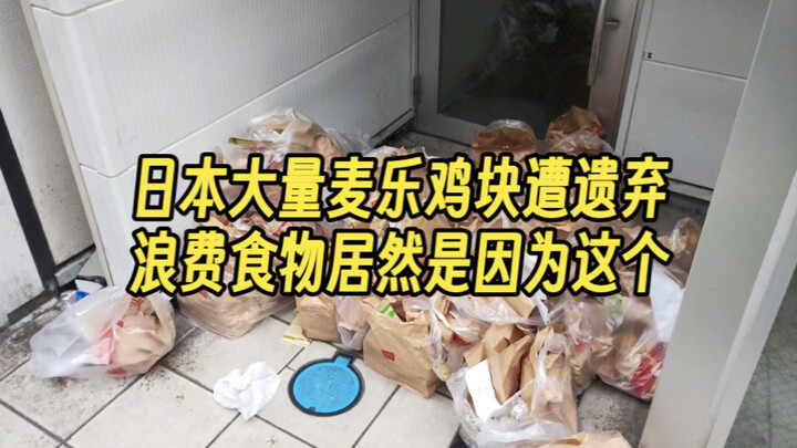 魔怔！一个麦乐鸡块爱好者轻轻地碎了….