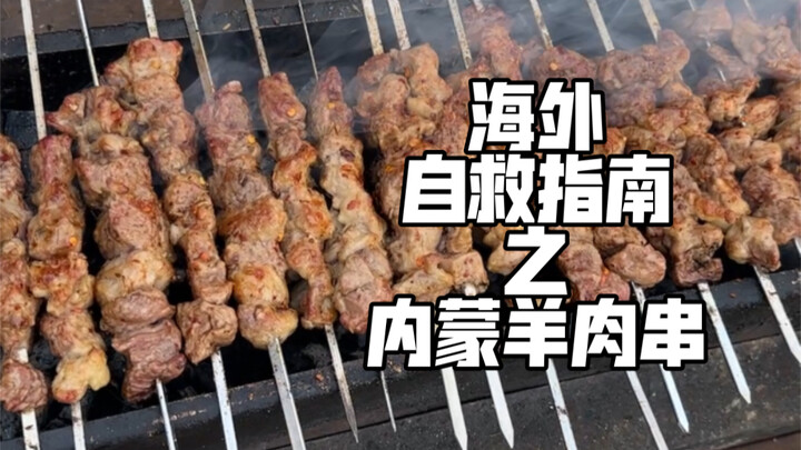 Camping Must-Have: A Step-by-Step Guide to Grilling Lamb Skewers