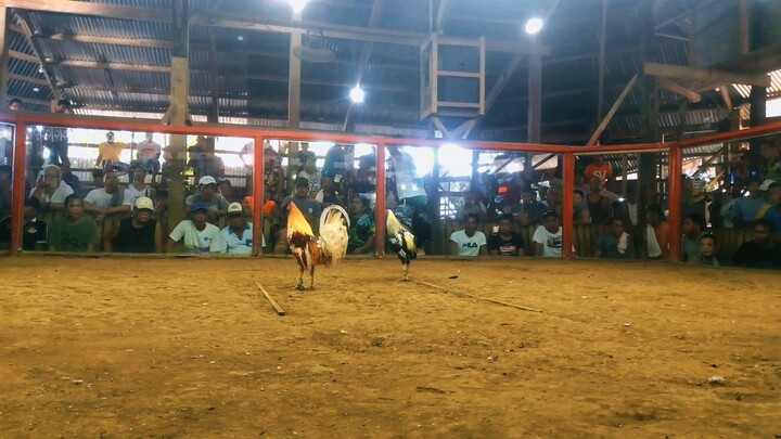 malaki at matanda na ang nakatapat
