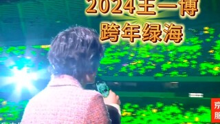 2024年最新绿海，官方镜头下的绿海，王一博跨年舞台