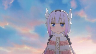 「AMV」- Photo ID
