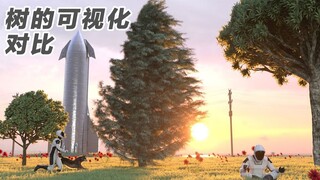 การเปรียบเทียบแบบเห็นภาพที่เข้าใจง่าย: ความสูงของต้นไม้ต่างๆ ตั้งแต่ 4 เมตรจนถึงกว่าร้อยเมตร