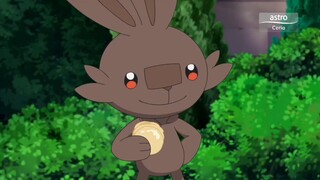 Pokemon Journeys Episode 4 Malay dub