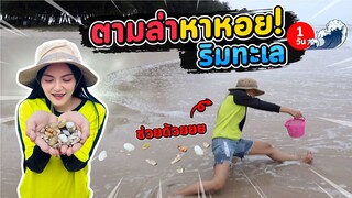 ตะลุย!! ออกตามล่าหาหอยเสียบ ริมทะเล| Ma Icez