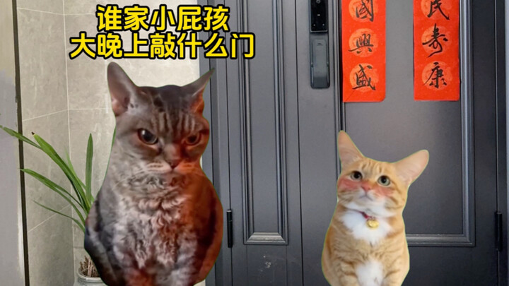 This must be the ultimate trust between brothers.