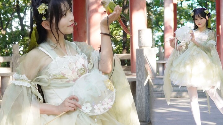 That rabbit is too busy today, so I flew down specially for you｜"Qianli Yaoyue"❀