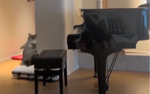 أفزعني بشدة!