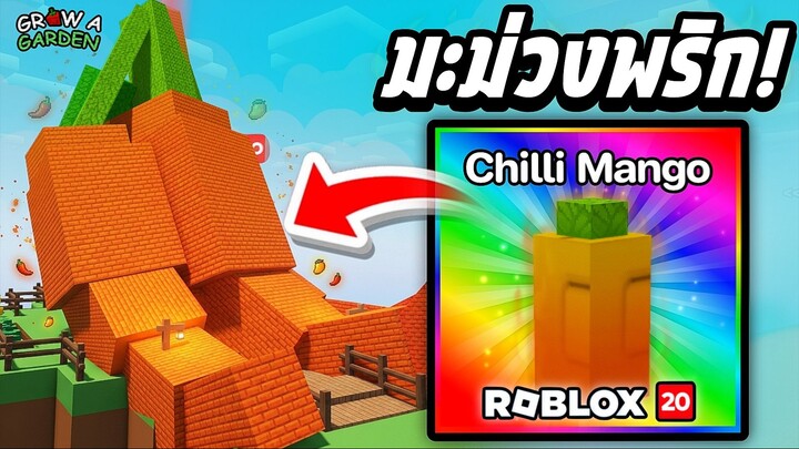 มาเล่น The Hunt: Roblox 20 กันหน่อย! | Grow a Garden | พร้อมปลูก Chilli Mango ดันให้ถึง 100 KG