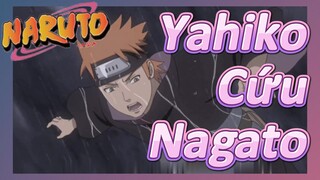 Yahiko Cứu Nagato