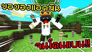 ขอของจากแอดมิน จนโดนแบน!! 555+ MeowSS3 | Minecraft Servers 1.17.1+