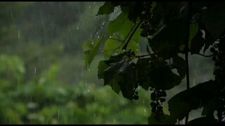 Bondhu Mor Deho Kaati