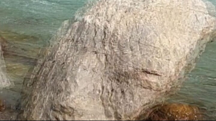 cast netting in Nepal | himalayan trout fishing technique |